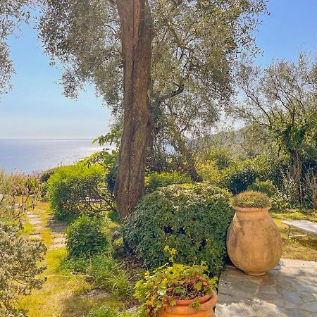 L'Uliveto Di Santa Con Piscina Villa Santa Margherita Ligure Luaran gambar