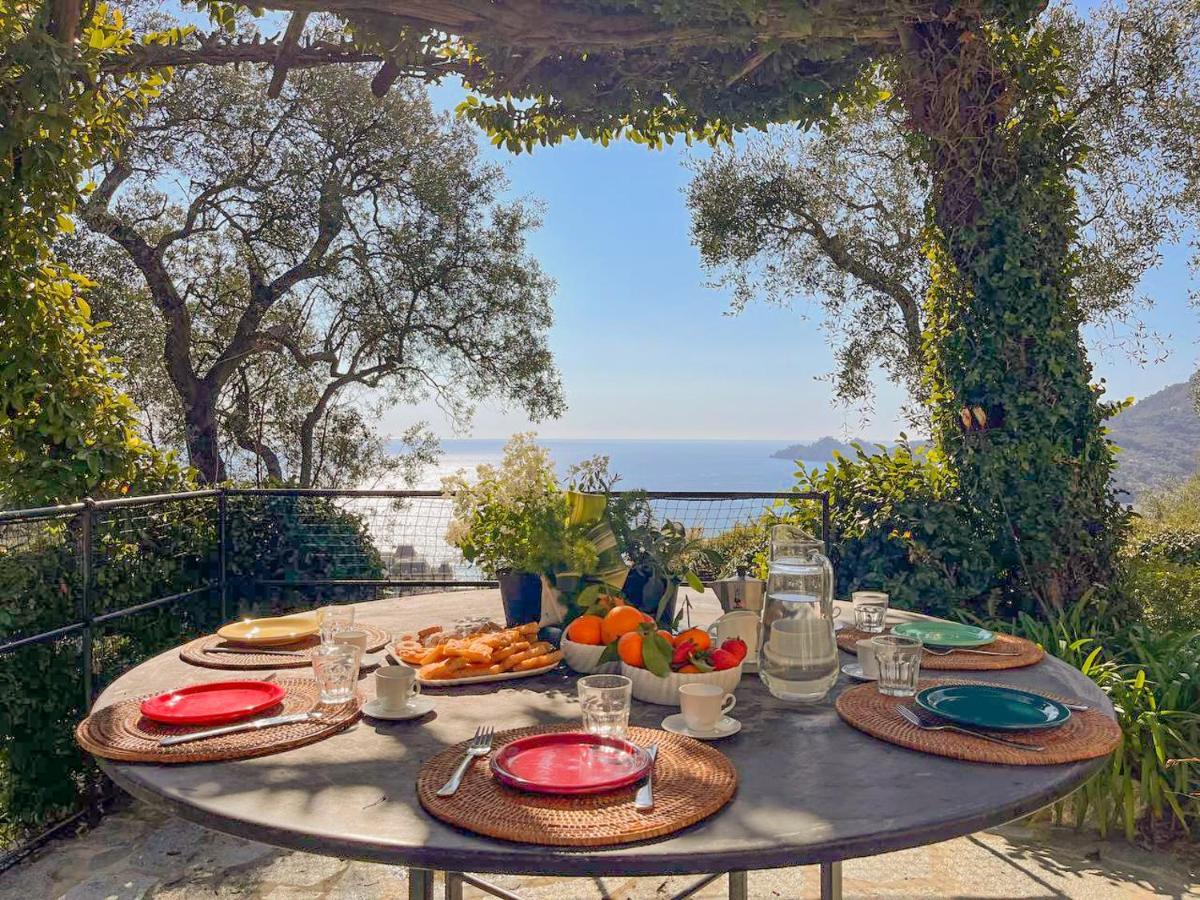 L'Uliveto Di Santa Con Piscina Villa Santa Margherita Ligure Luaran gambar