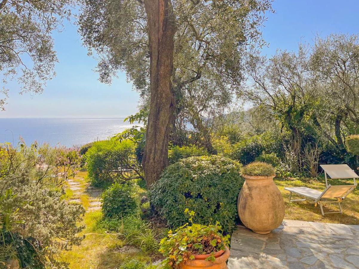 L'Uliveto Di Santa Con Piscina Villa Santa Margherita Ligure Luaran gambar